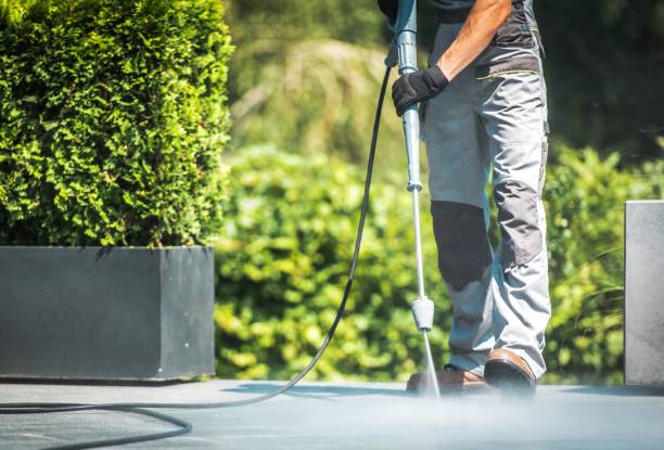 Professional  Pressure Washing Services in Hargill, TX